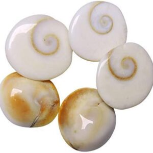 Natural Gomti Chakra